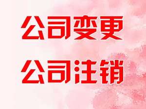 芜湖个人怎么注册公司流程和费用