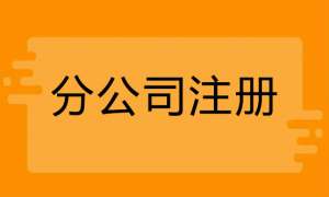 注册分公司需要什么手续有哪些流程