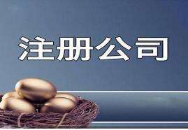 芜湖注册有限责任公司的优缺点是什么