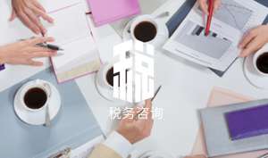 芜湖繁昌区税务咨询提供的四种信息