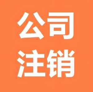 芜湖想要注销公司需要补缴哪些费用？