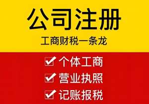 芜湖的营业执照办理需要什么资料