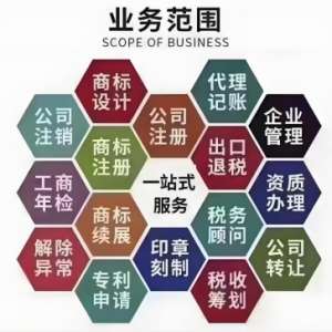 芜湖公司应该如何缴纳税务费用