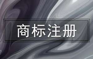 直击芜湖商标注册现场：流程中的要点与难点