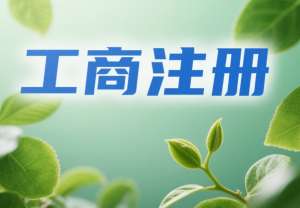 芜湖工商注册实操指南：让注册过程少走弯路