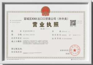 芜湖电商执照注册要求：网络地址能用吗？